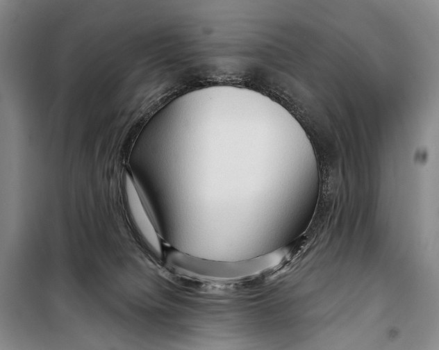 X0000098210084200805151303