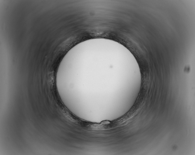 X0000098210085200805151303