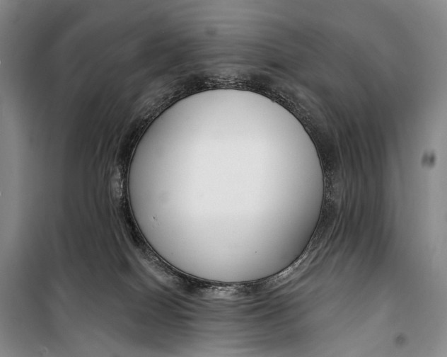 X0000098210086200805151303