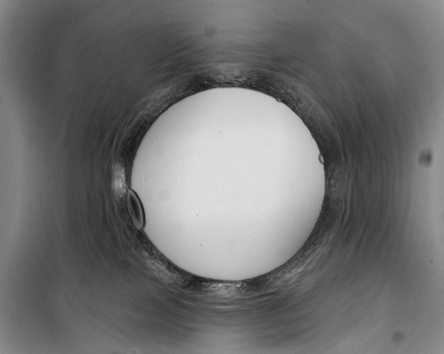 X0000098210089200805151303
