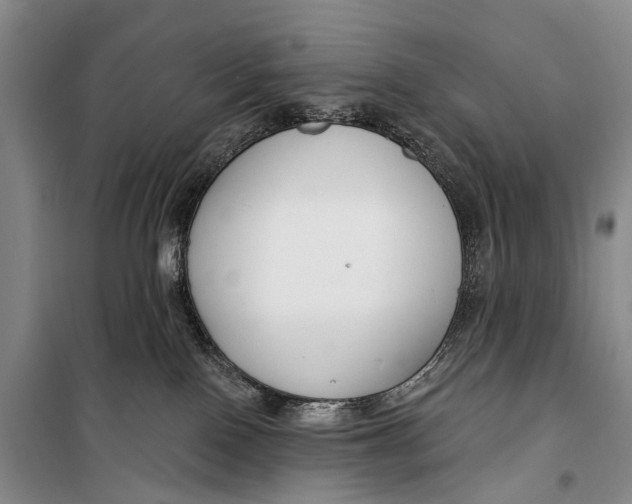 X0000098210090200805151303
