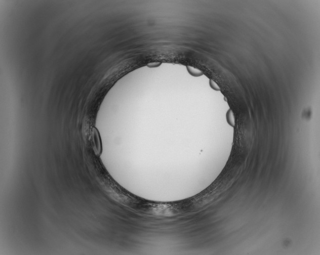X0000098210091200805151303
