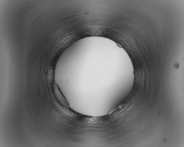 X0000098210092200805151303