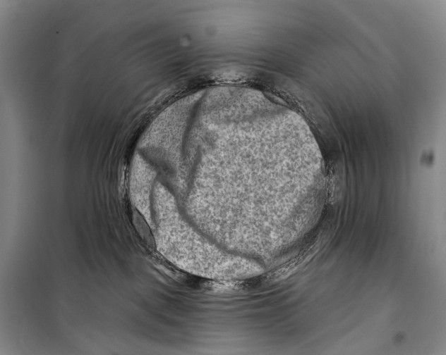 X0000098210093200805151303