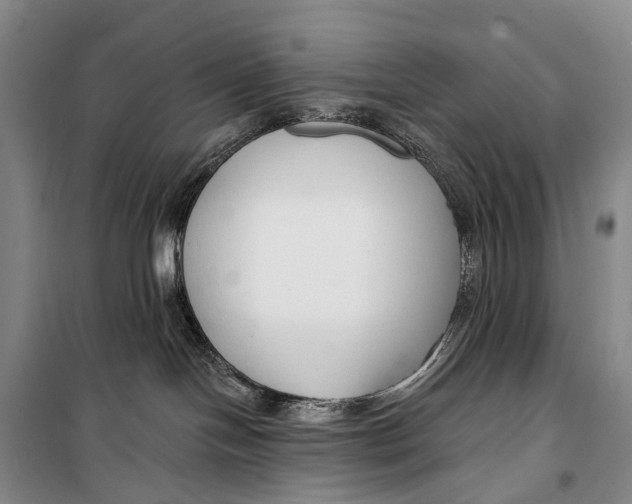 X0000098210094200805151303