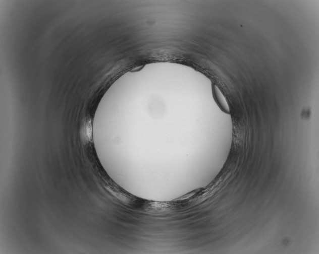 X0000098210095200805151303