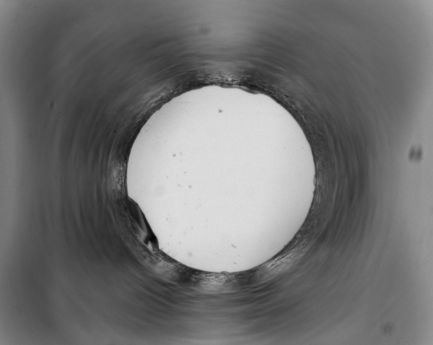 X0000098210096200805151303