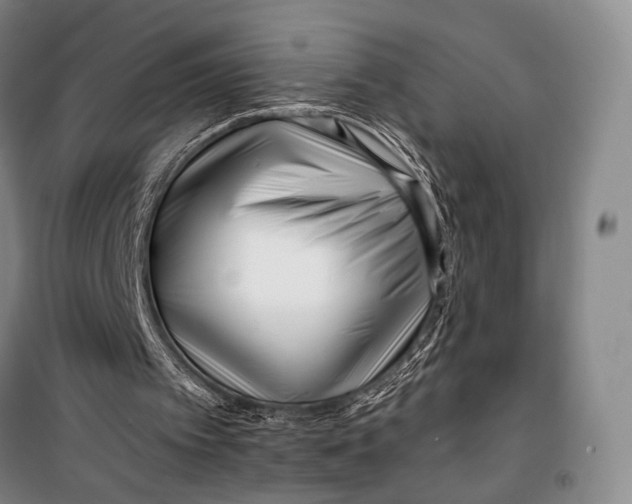 X0000098210097200805151303