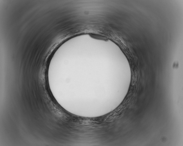 X0000098210098200805151303