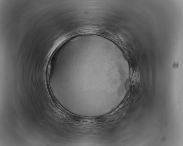 X0000098210099200805151303