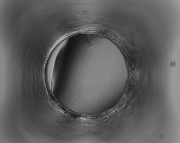 X0000098210100200805151303