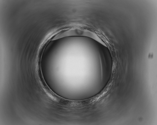 X0000098210101200805151303