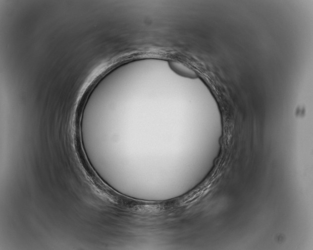 X0000098210102200805151303