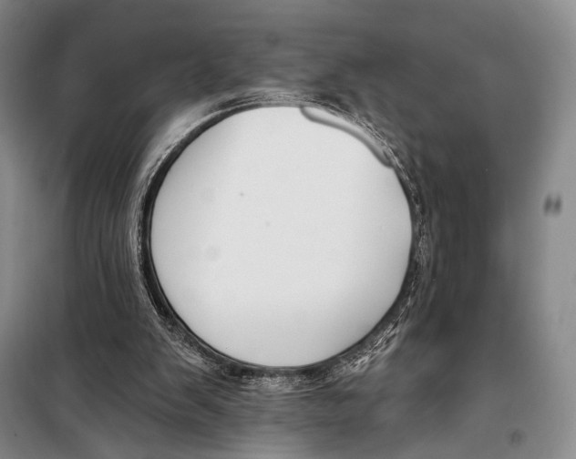 X0000098210103200805151303