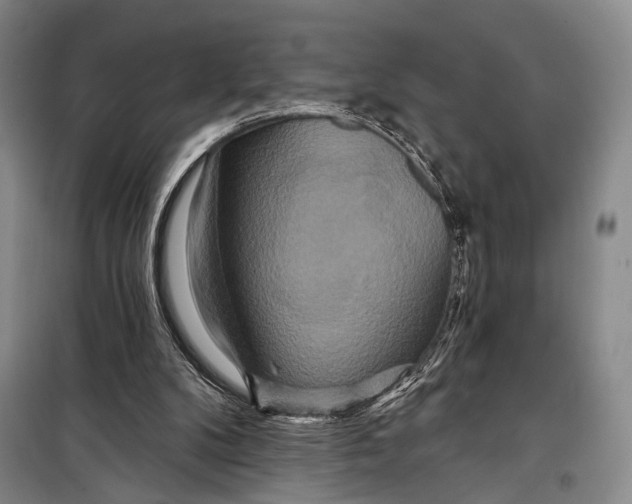 X0000098210104200805151303