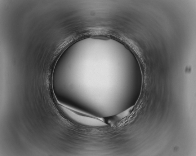 X0000098210105200805151303