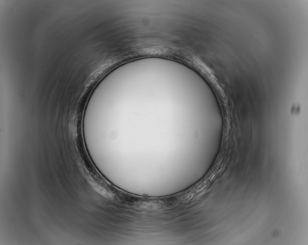 X0000098210106200805151303