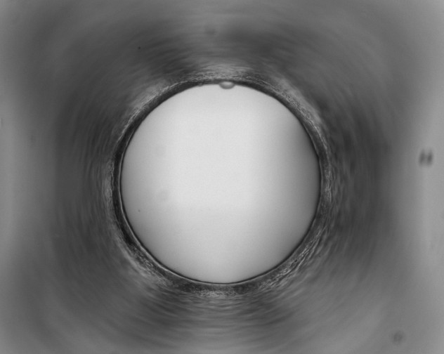 X0000098210107200805151303