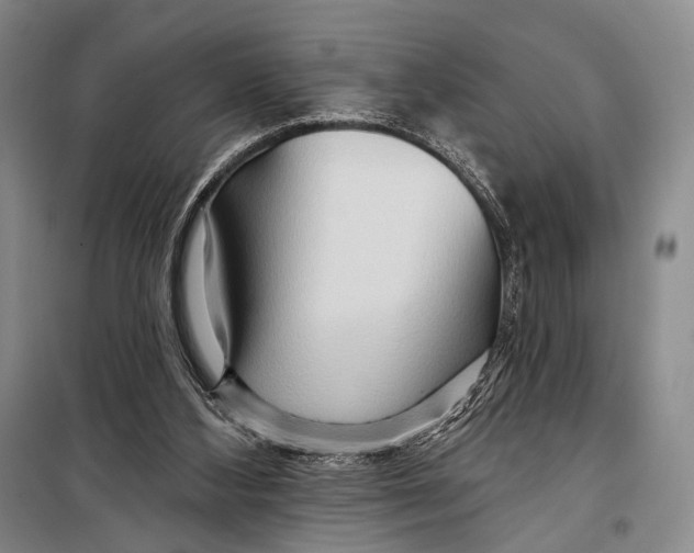 X0000098210108200805151302