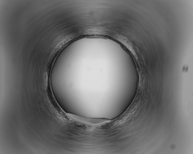 X0000098210109200805151302