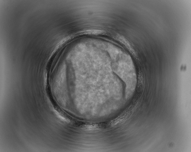 X0000098210110200805151302