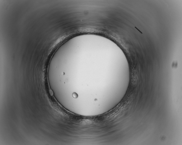 X0000098210111200805151302