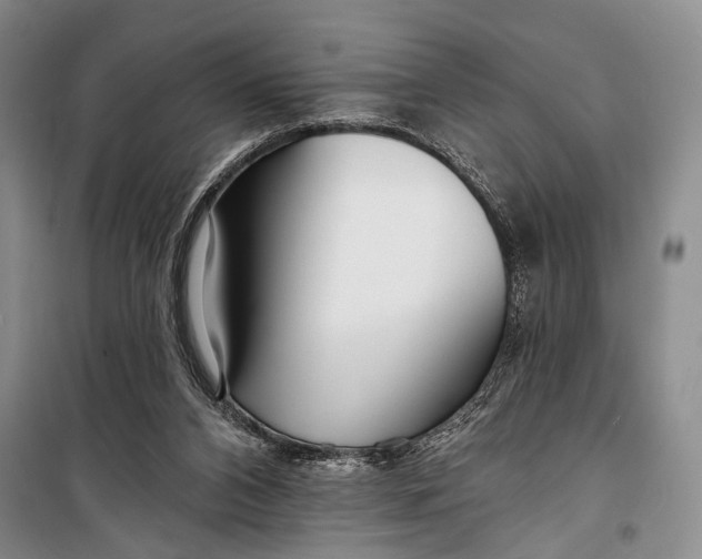 X0000098210112200805151302