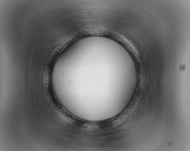 X0000098210113200805151302