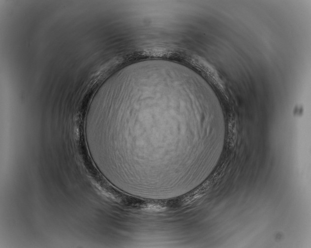 X0000098210114200805151302