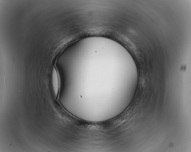 X0000098210115200805151302