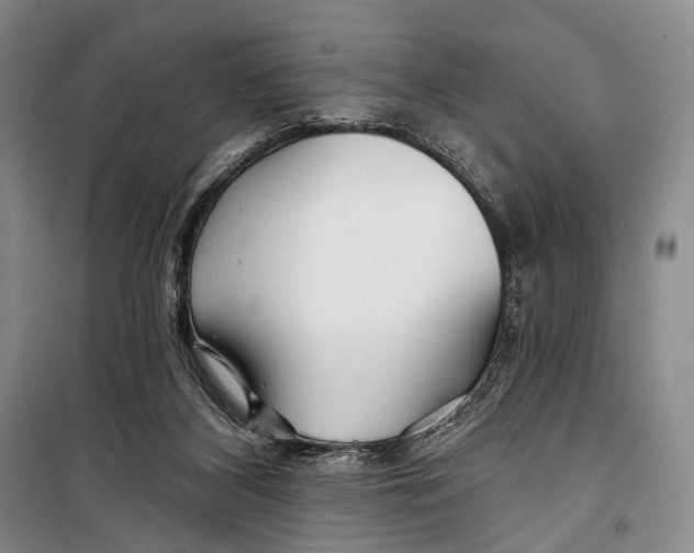 X0000098210116200805151302