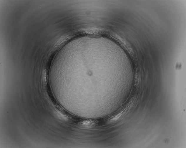 X0000098210117200805151302