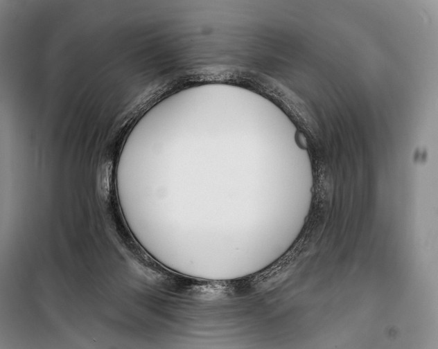X0000098210118200805151302