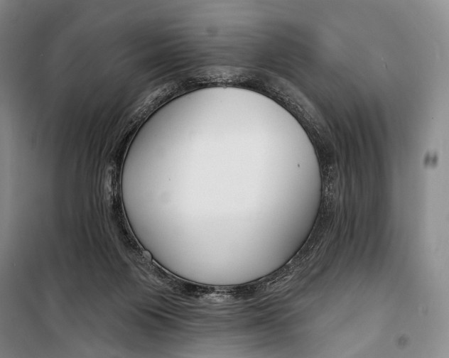 X0000098210119200805151302