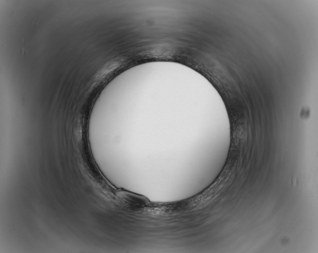 X0000098210120200805151302