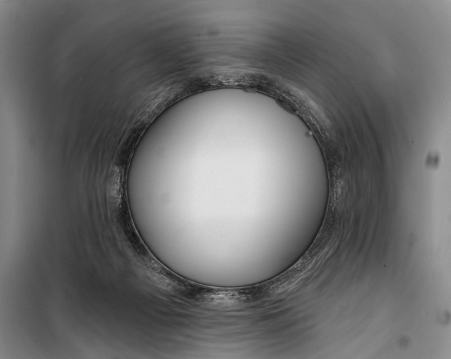 X0000098210121200805151302
