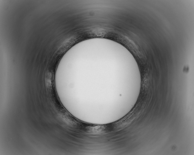 X0000098210122200805151302