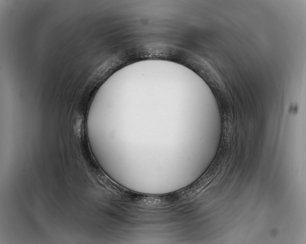 X0000098210123200805151302