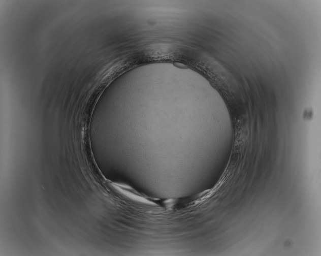 X0000098210124200805151302
