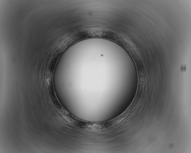 X0000098210125200805151302