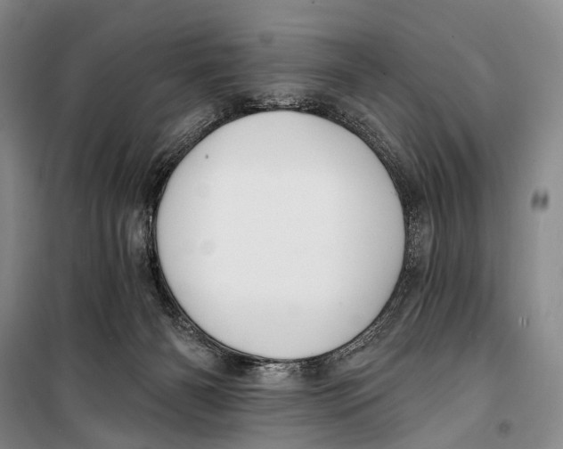 X0000098210126200805151302