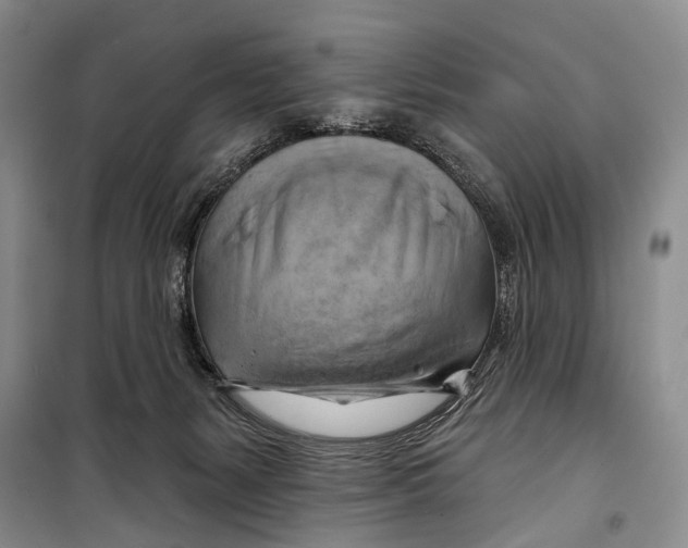 X0000098210127200805151302