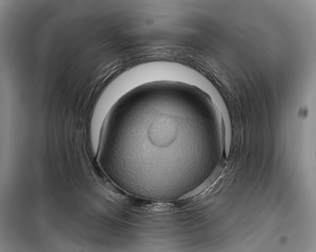 X0000098210128200805151302