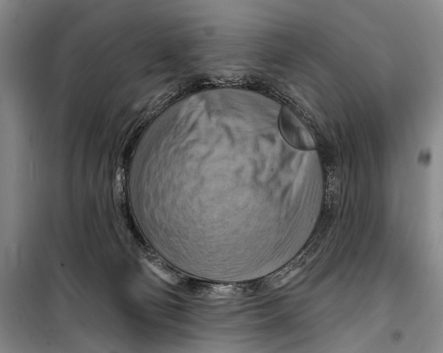 X0000098210130200805151302