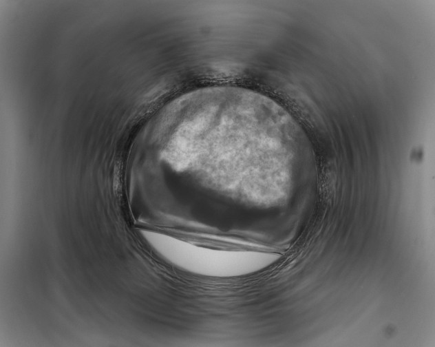 X0000098210131200805151302