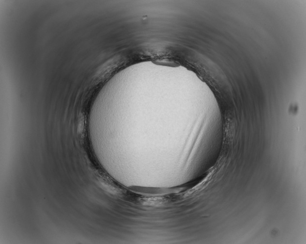 X0000098210132200805151302