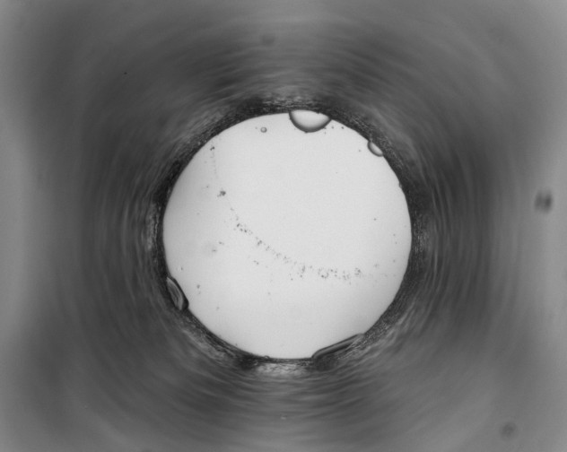 X0000098210133200805151302