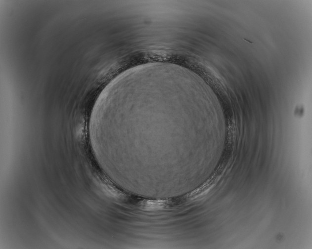X0000098210134200805151302