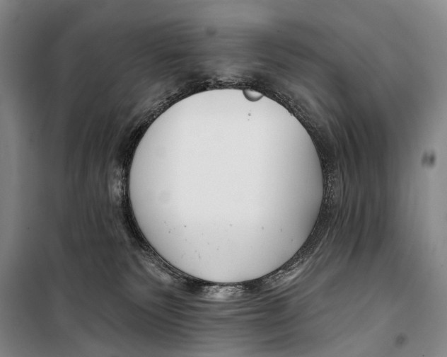X0000098210135200805151302