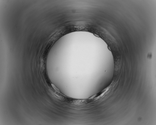 X0000098210136200805151302